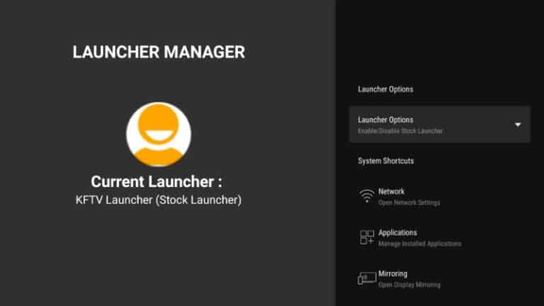 advanced download manager firestick